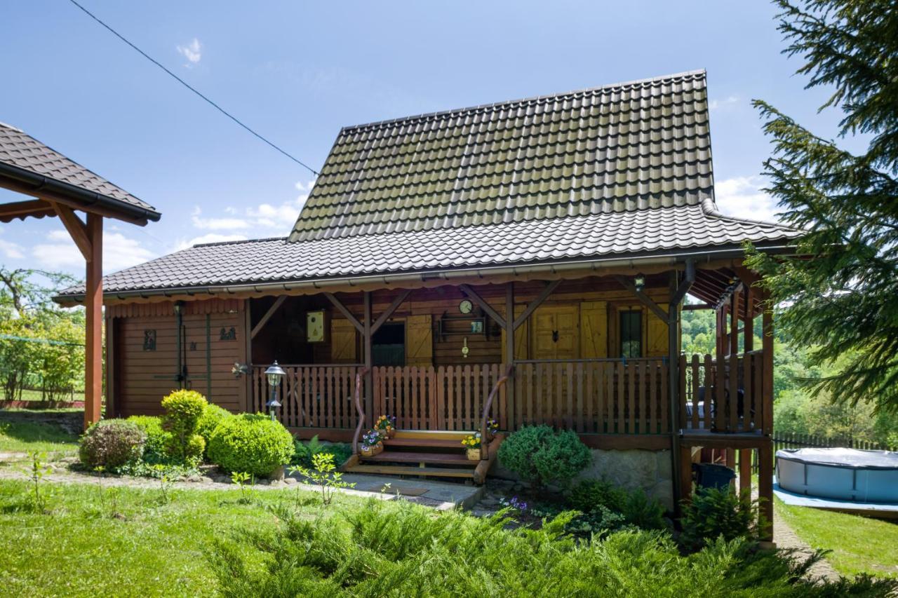 Andrzejowka Villa Kocon Kültér fotó