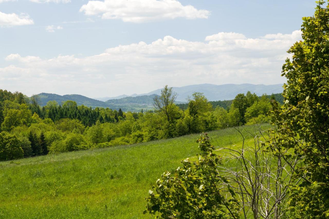 Andrzejowka Villa Kocon Kültér fotó