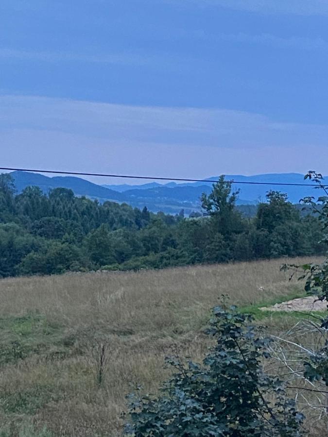 Andrzejowka Villa Kocon Kültér fotó